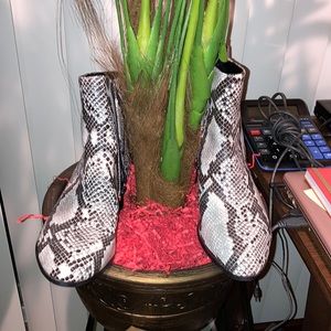 Sajna snakeskin boots